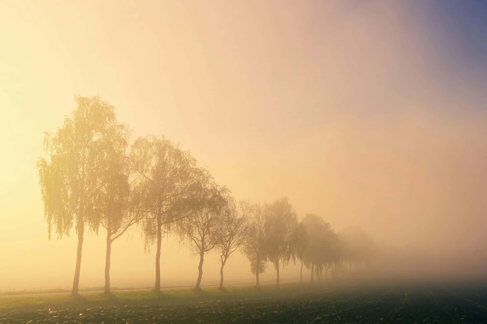 Aug. 9 weather: Smoke and high near 30 C expected in southern Ontario