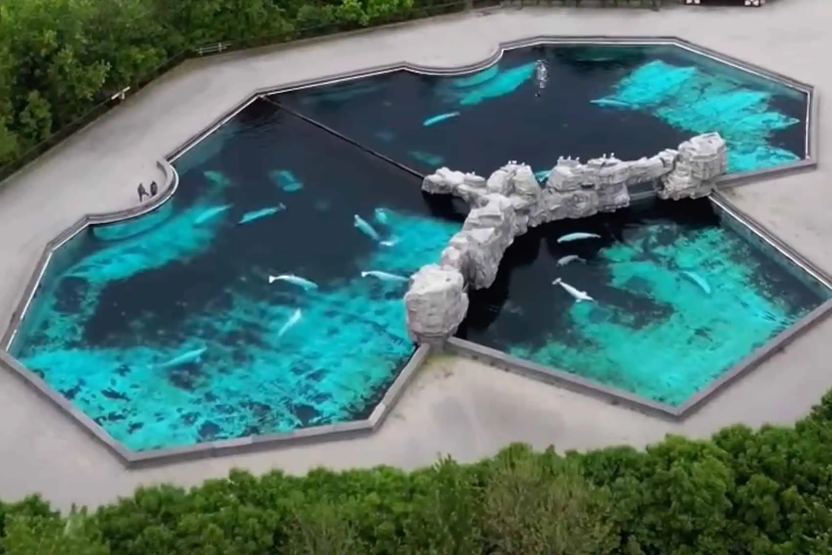 marineland complaint video