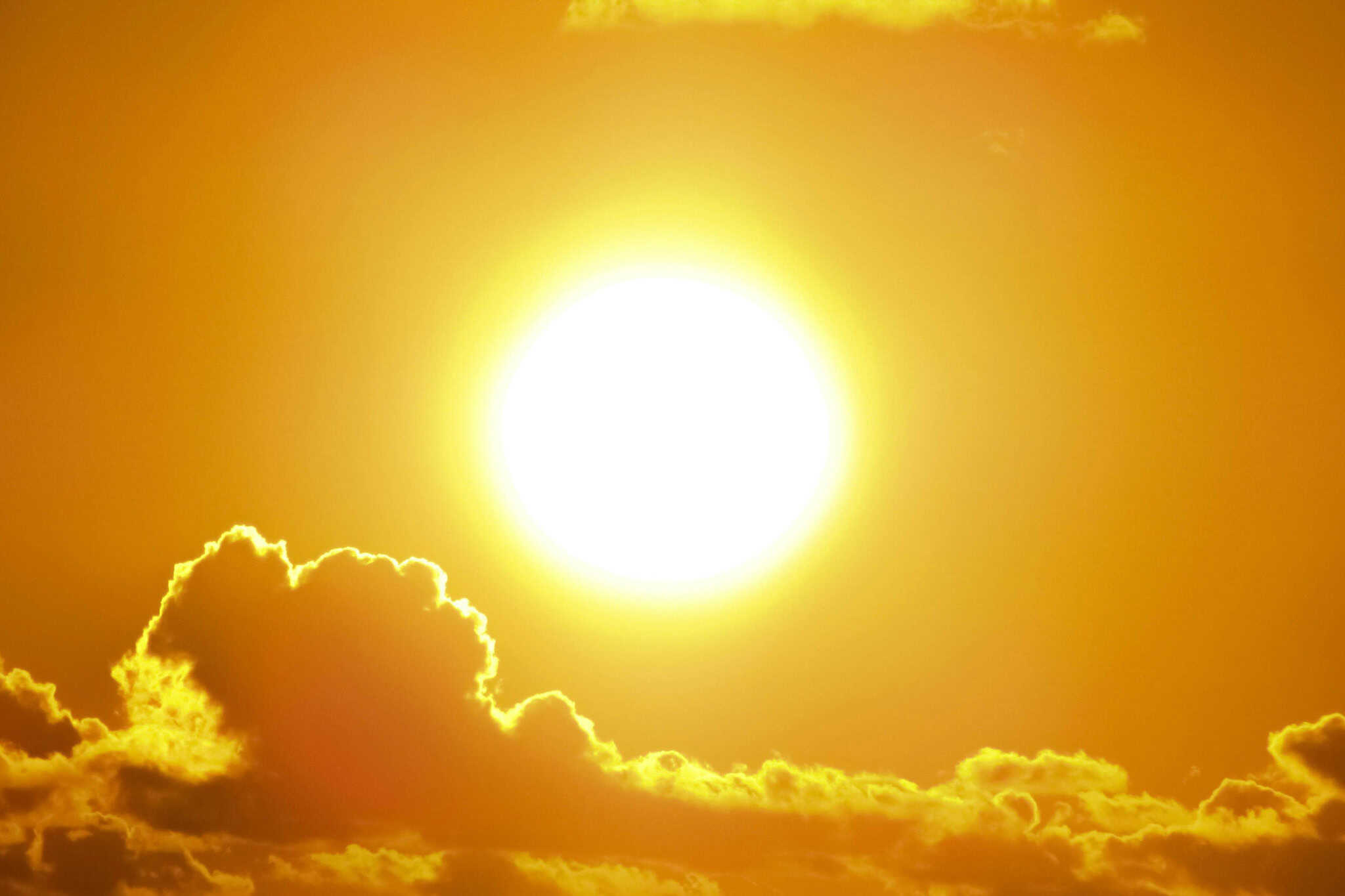 weather warning alert ontario