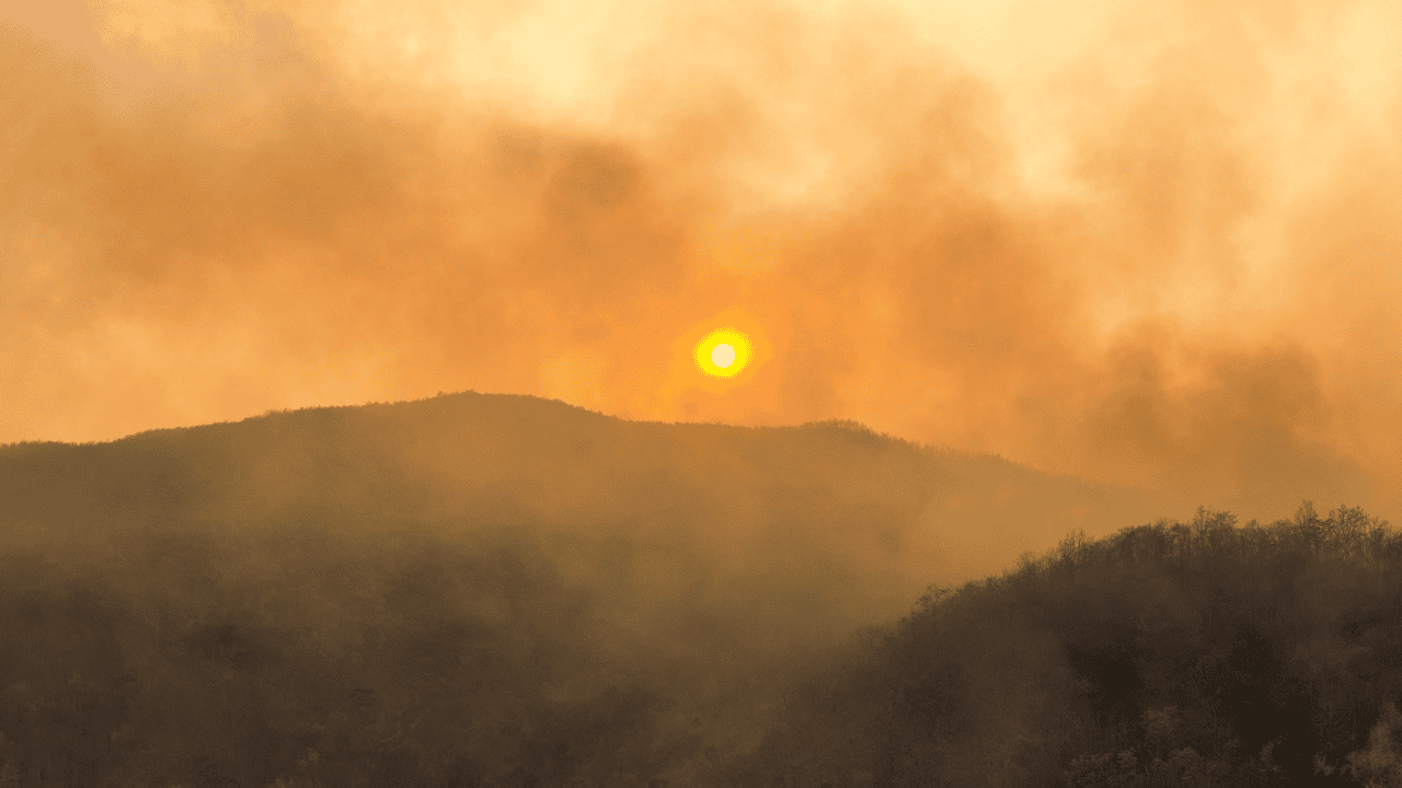 Air quality warning issued for parts of Ontario due to wildfire smoke.