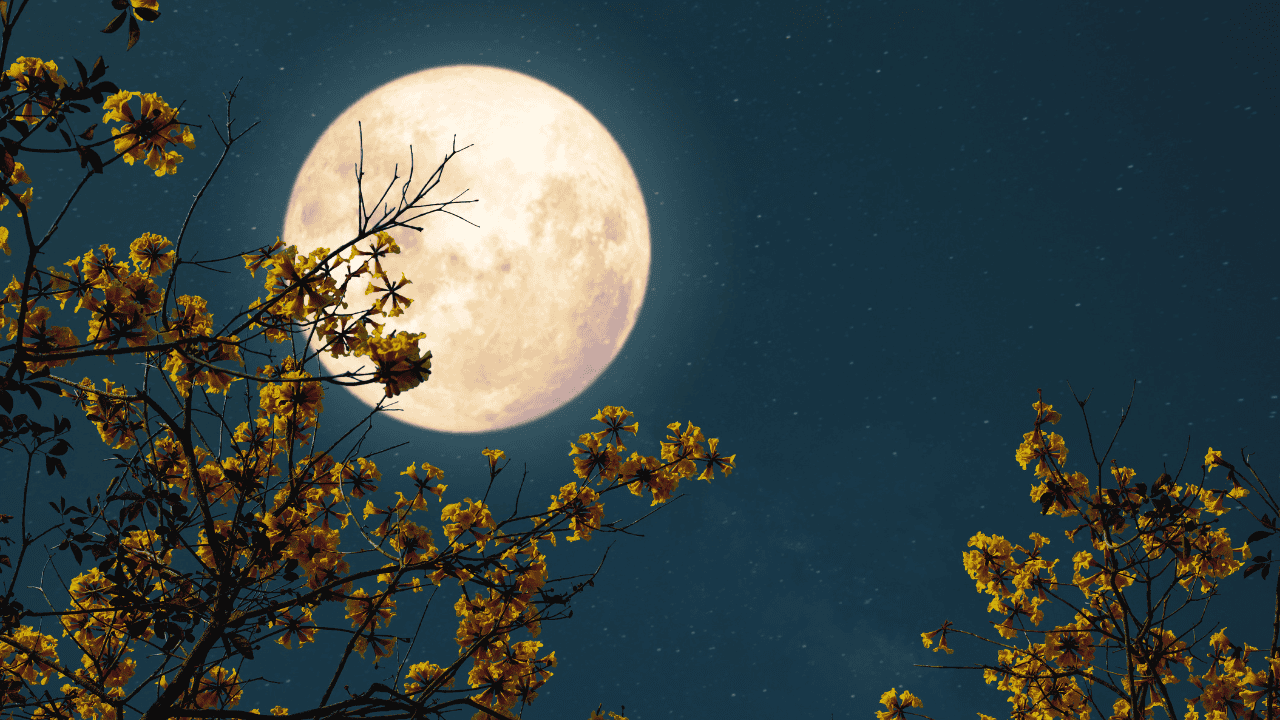 'Sturgeon Moon' to rise over Ontario next month.