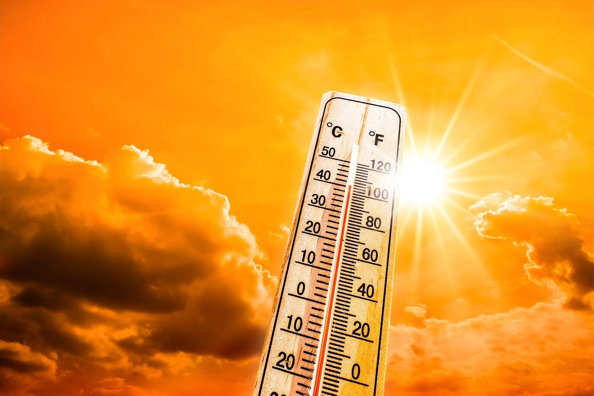 Heat warning issued as humidex could reach 40 in part of southern Ontario