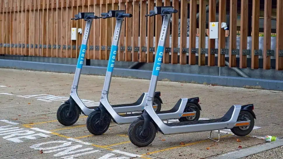 Bird Canada e-scooter program launches in Pickering