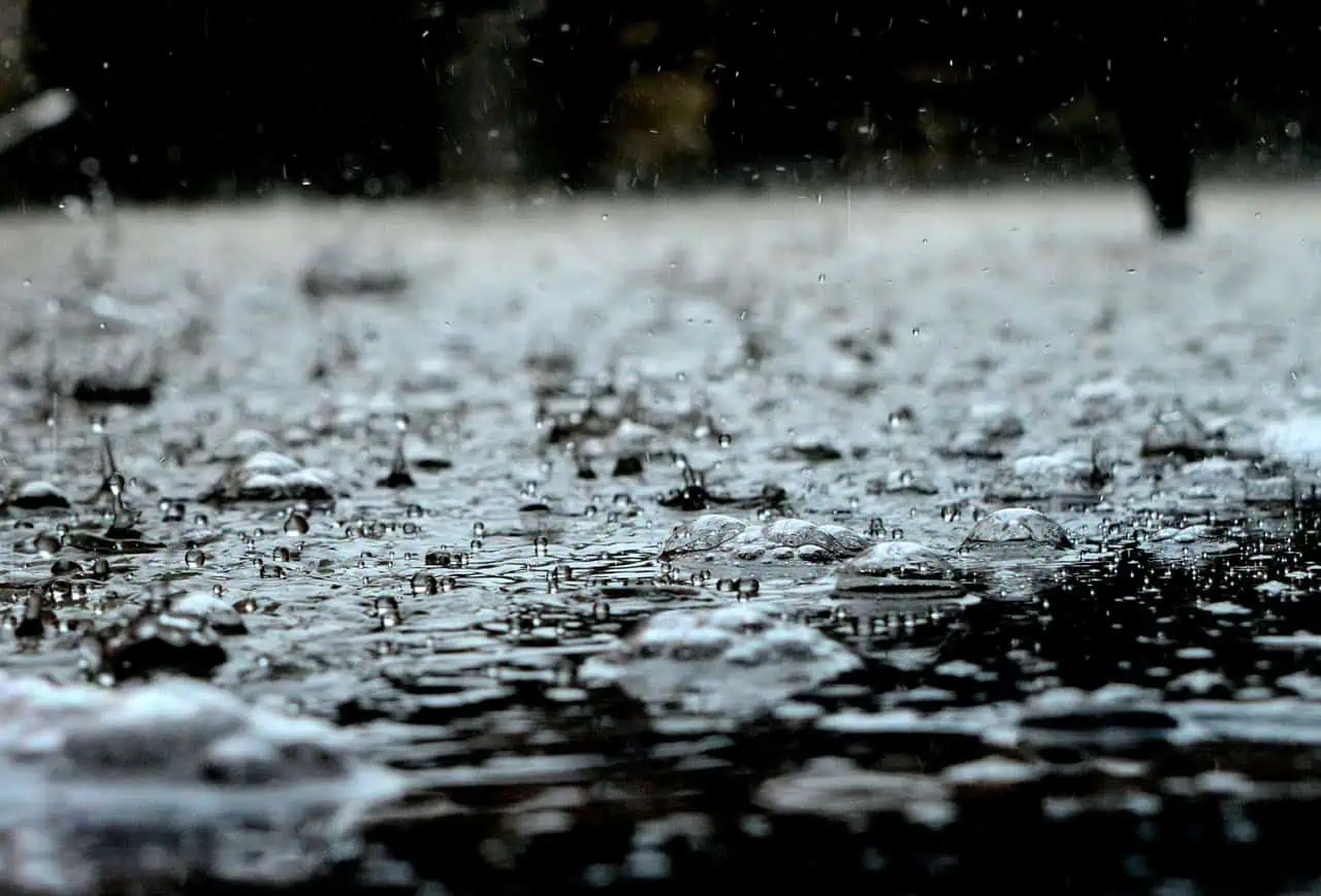 'Significant' rain, thunderstorms possible in parts of southern Ontario