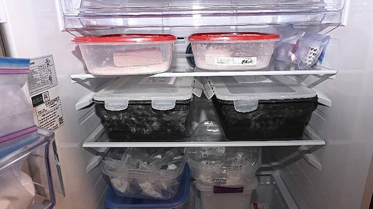 dark web drugs road runna ontario