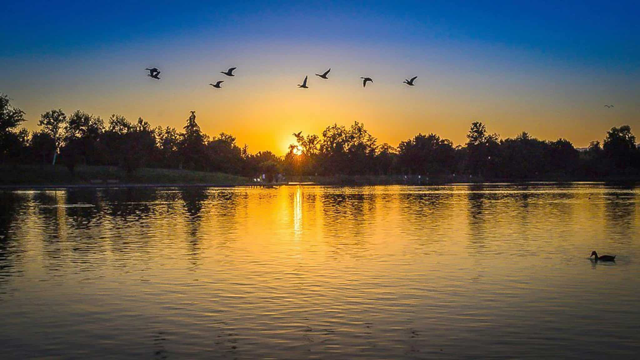above-normal-temperatures-expected-in-southern-ontario-this-weekend