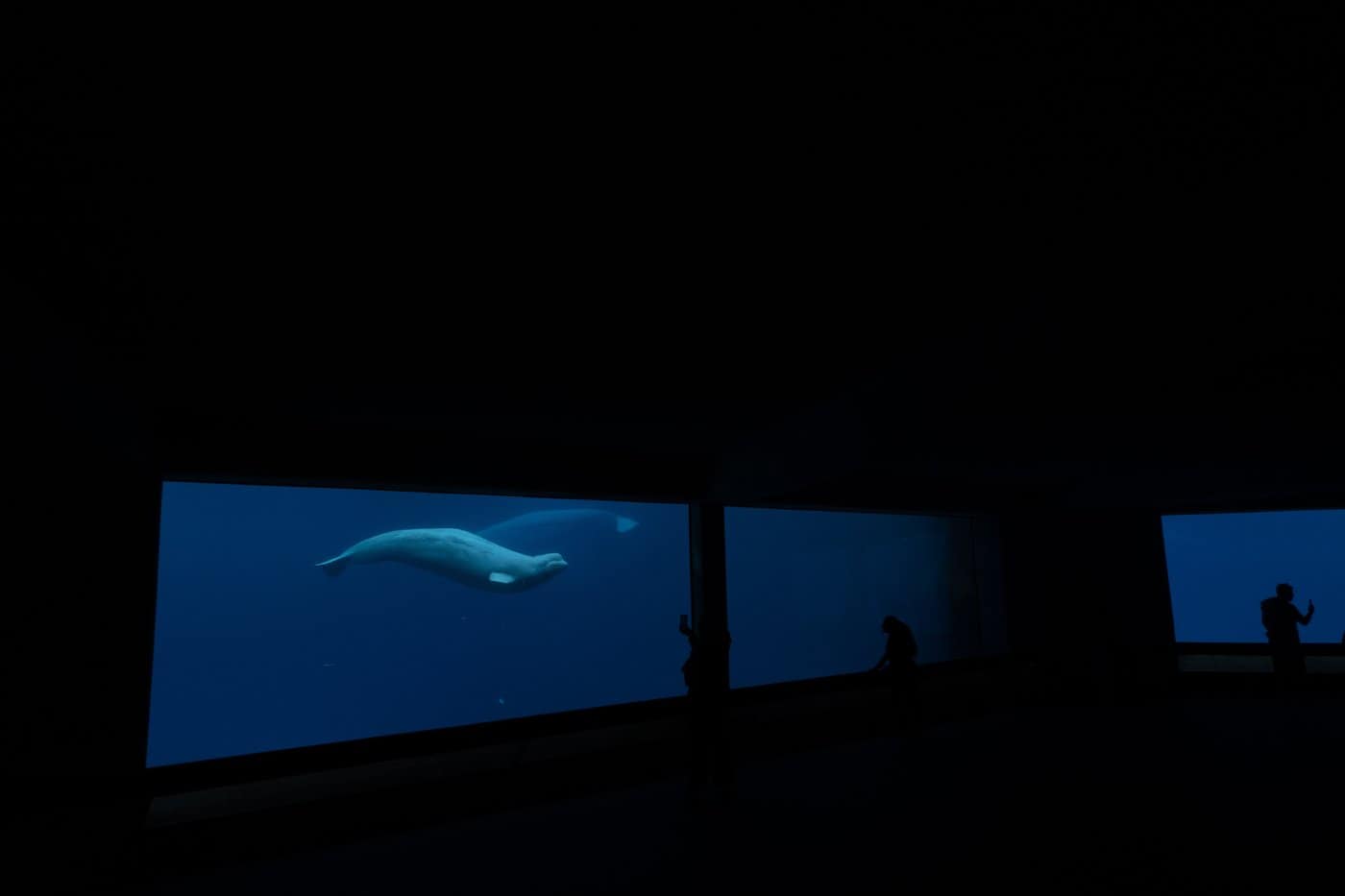 marineland fund request canada