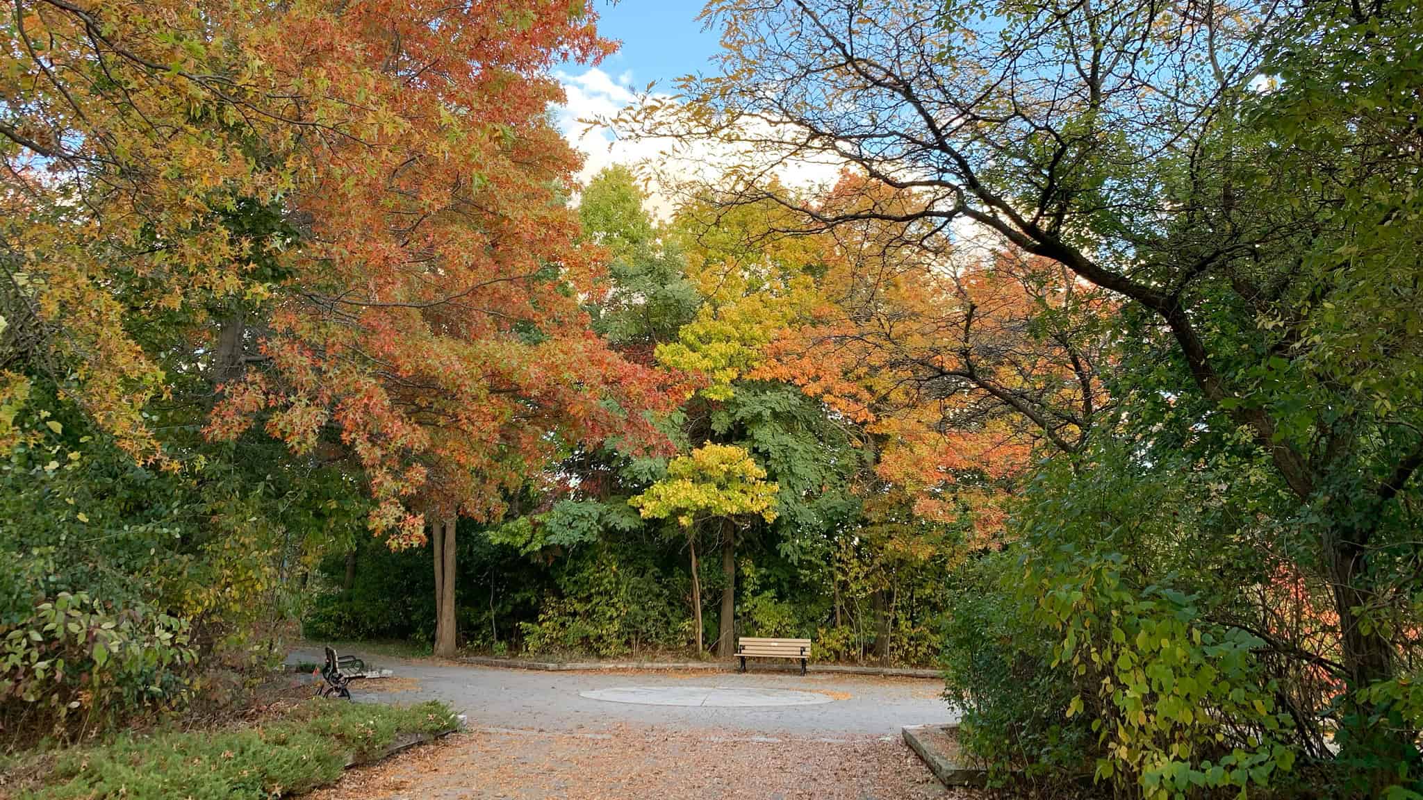 weekend weather southern ontario