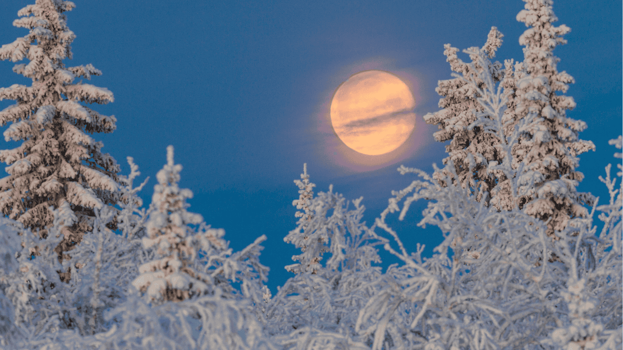 'Cold Moon' and final supermoon of 2025 to shine over Ontario skies next month