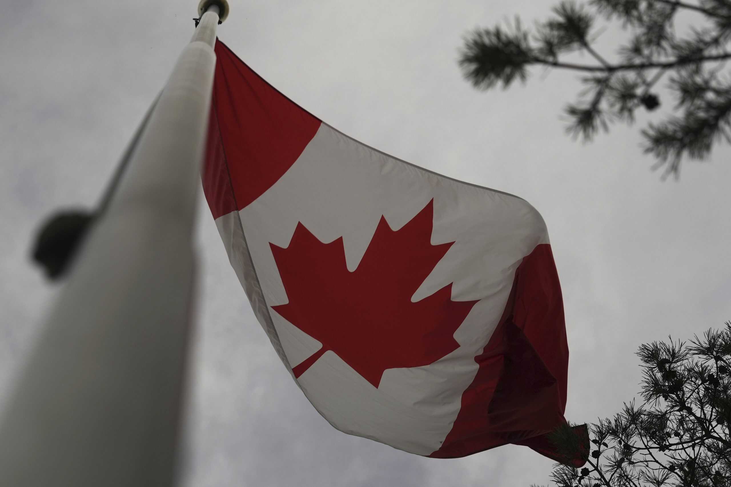 'Lost Canadians' legislation becomes law after Senate approval