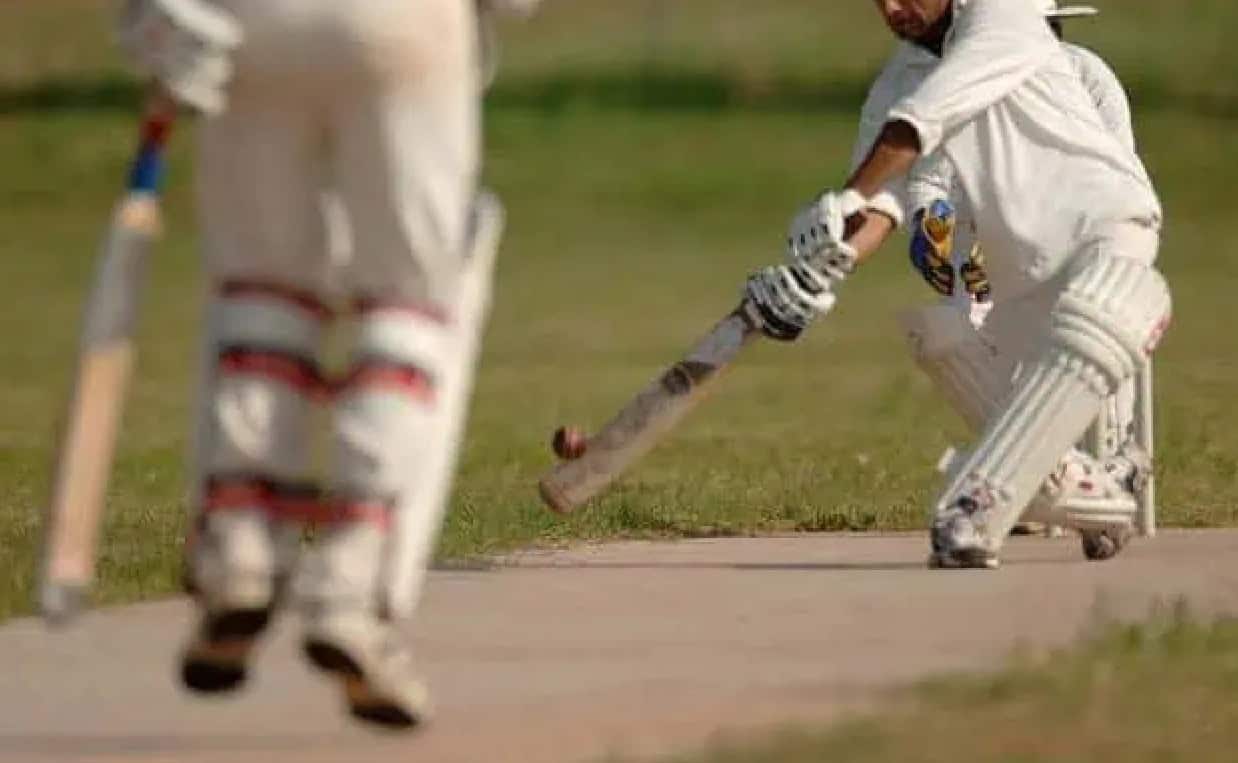brampton cricket league tournament summer