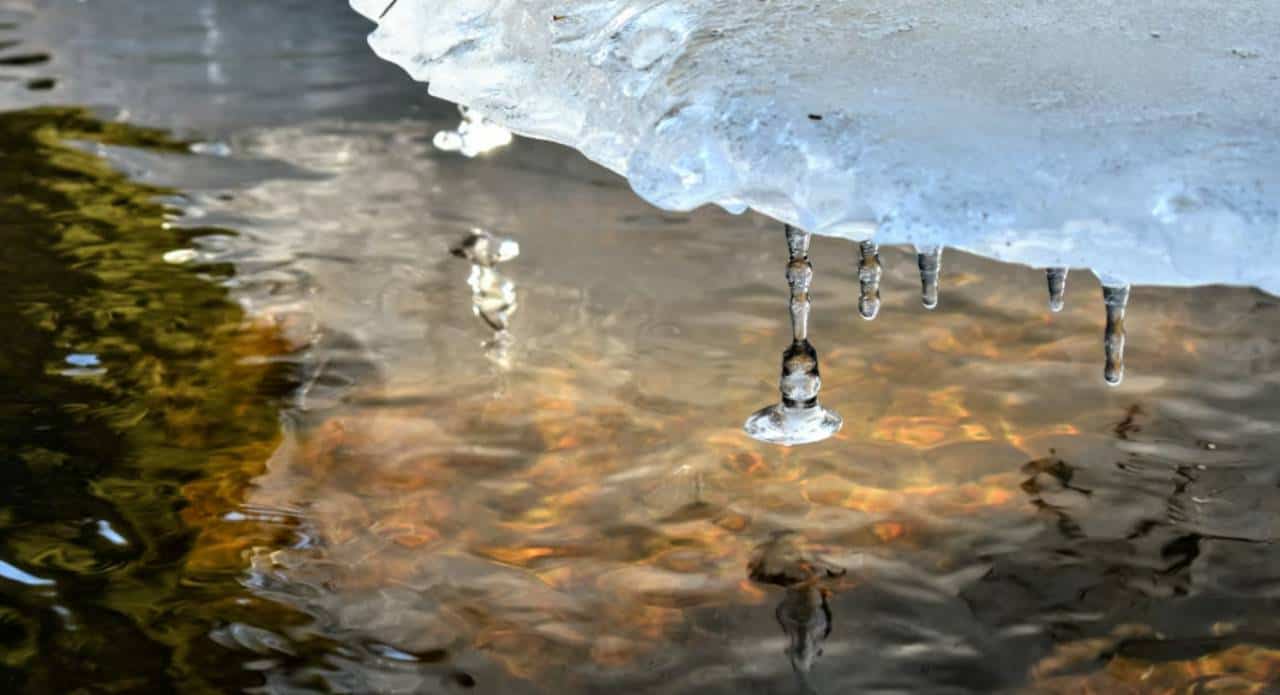 ice water lake ontario hamilton rescue