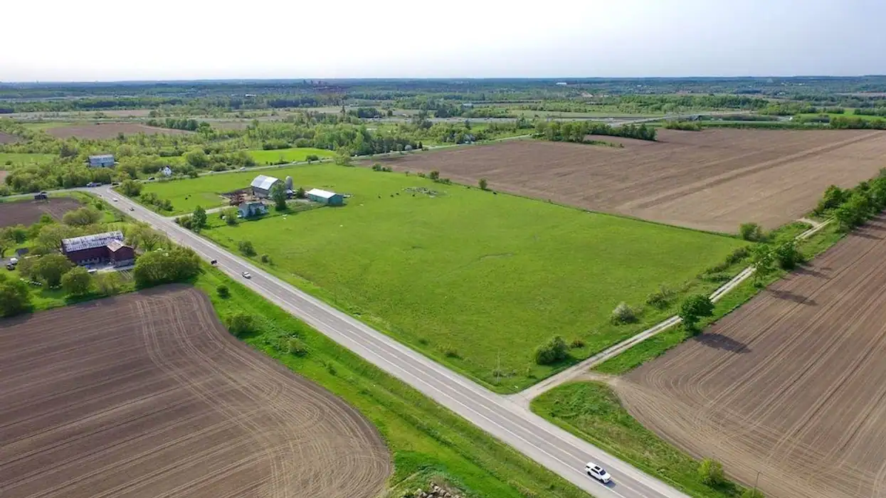 Environmental groups are opposed to unchecked development in northeast Pickering