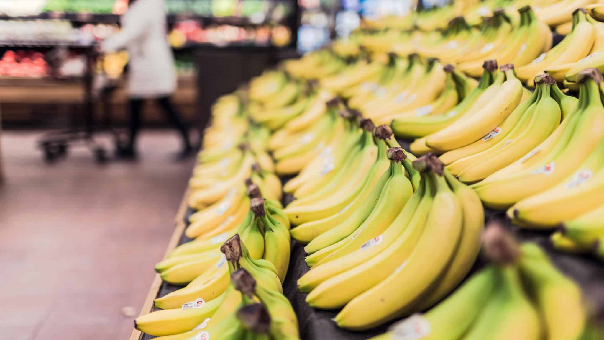 t and t supermarket mississauga