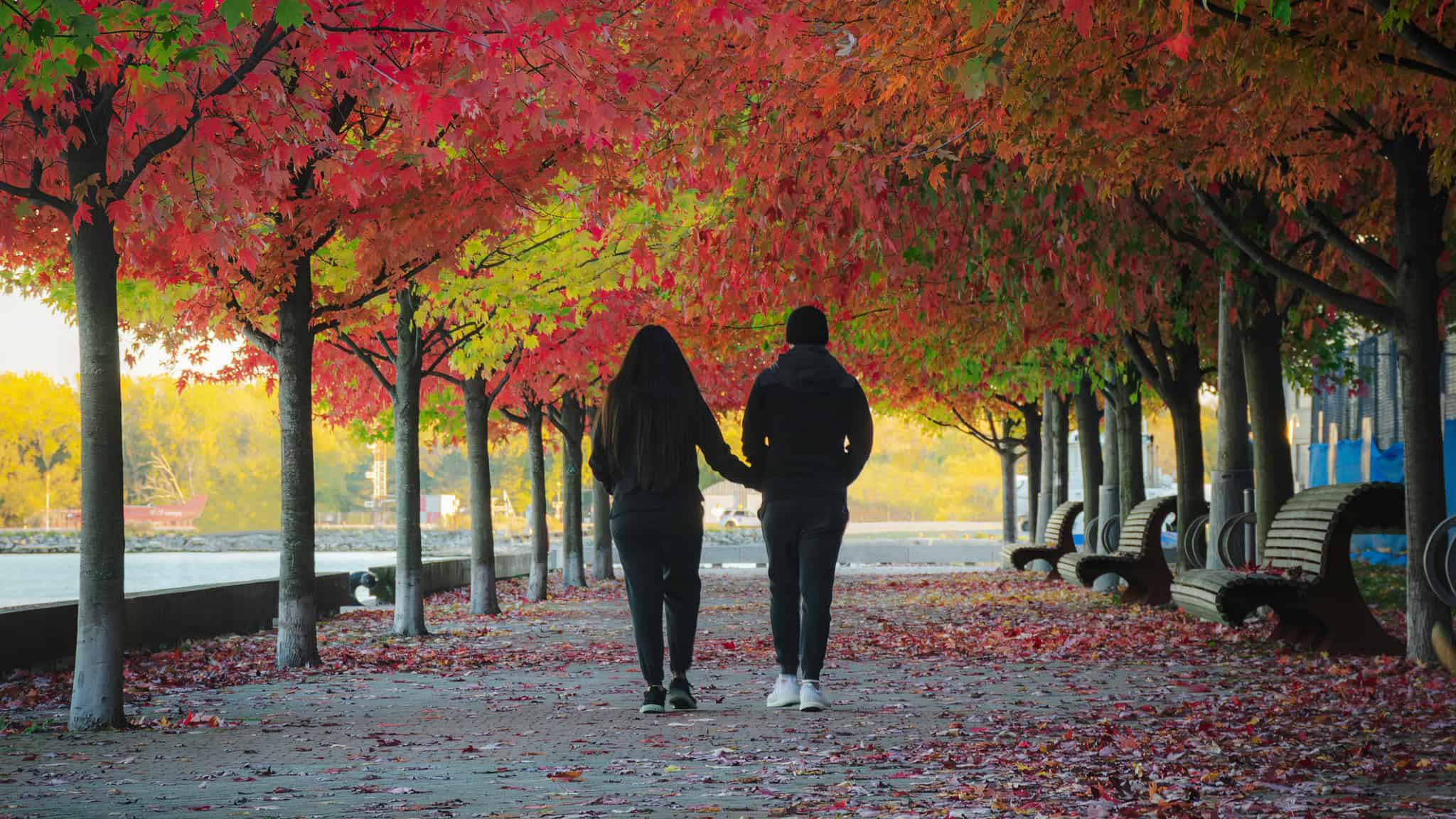 canada world happiness 2025