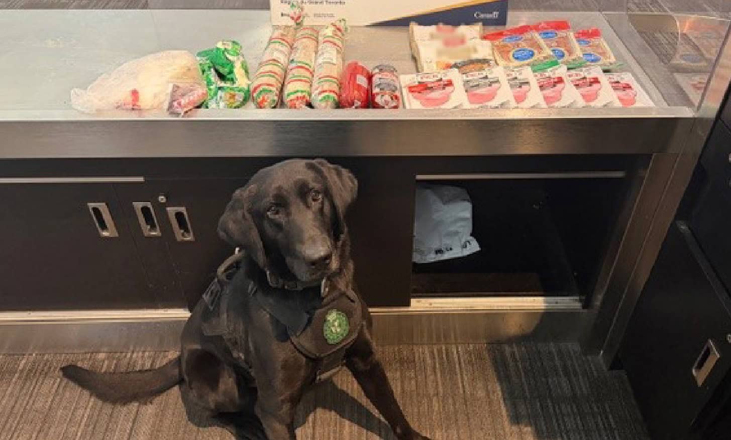 more undeclared meat and butter seized at toronto pearson airport mississauga.