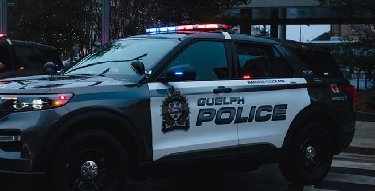 violent shoplifting incident in guelph, ontario.