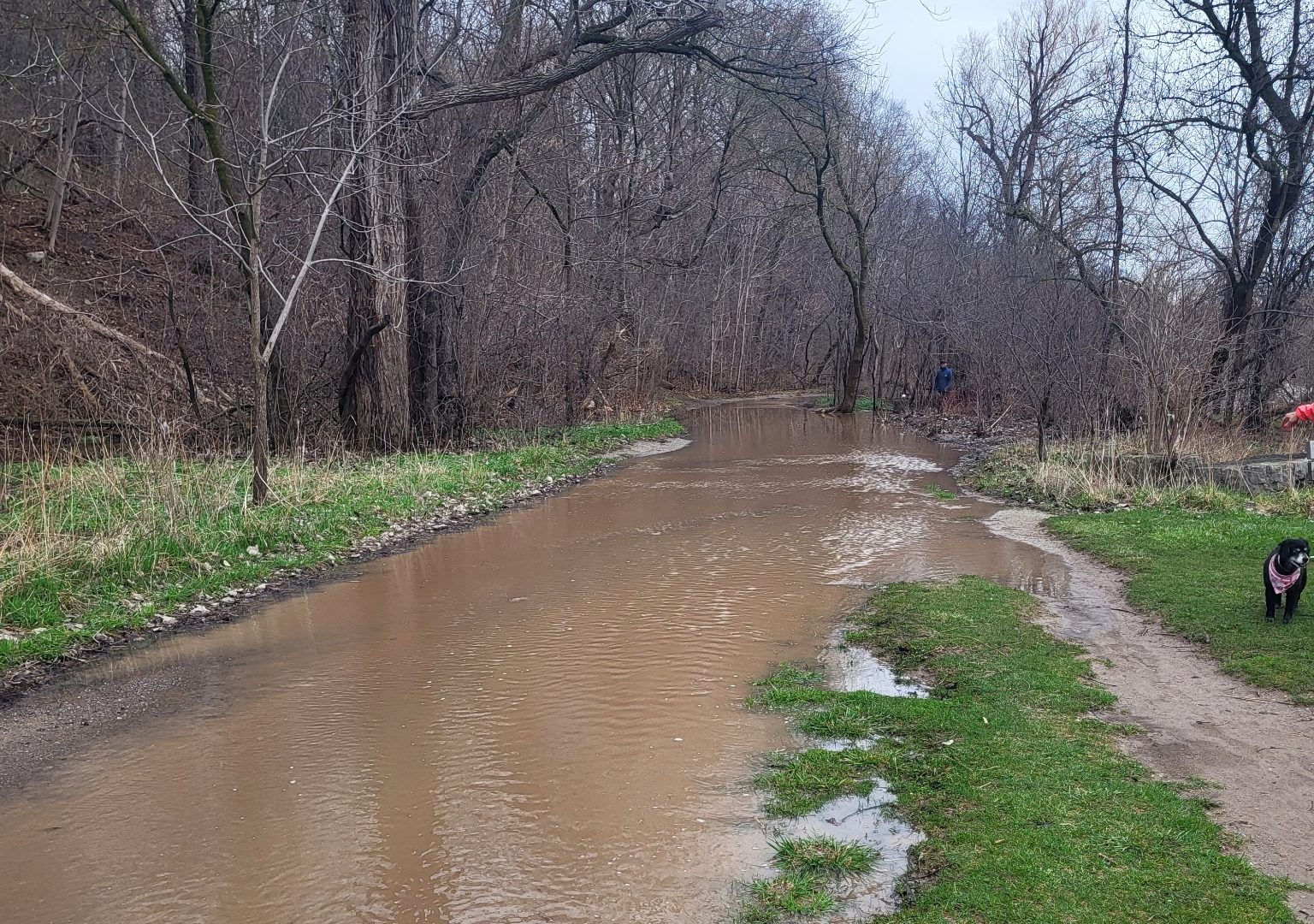 mississauga flooding