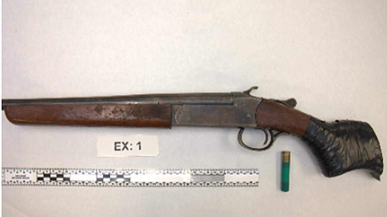 gun neighbour dispute hamilton
