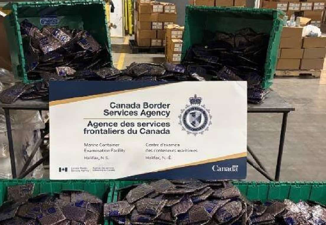 mississauga man among three charged in huge cocaine bust.