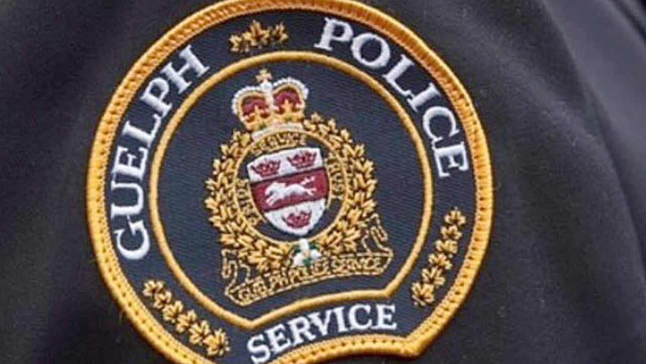 guelph police brampton driver stunt