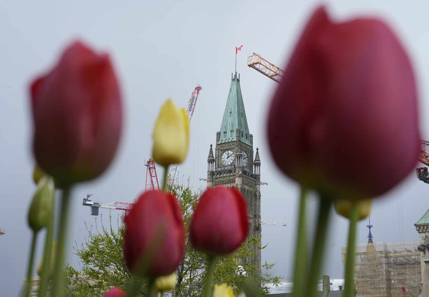 MPs pass spending bill, opt to head home for summer break