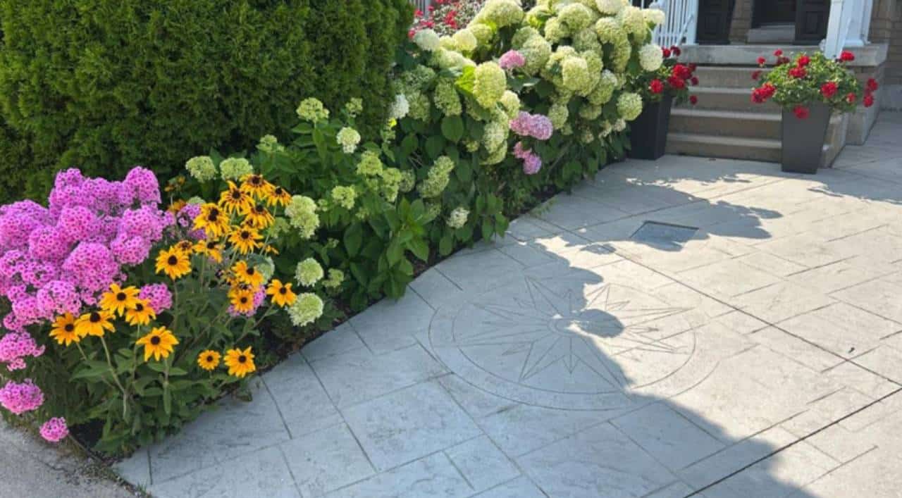 brampton garden flower contest