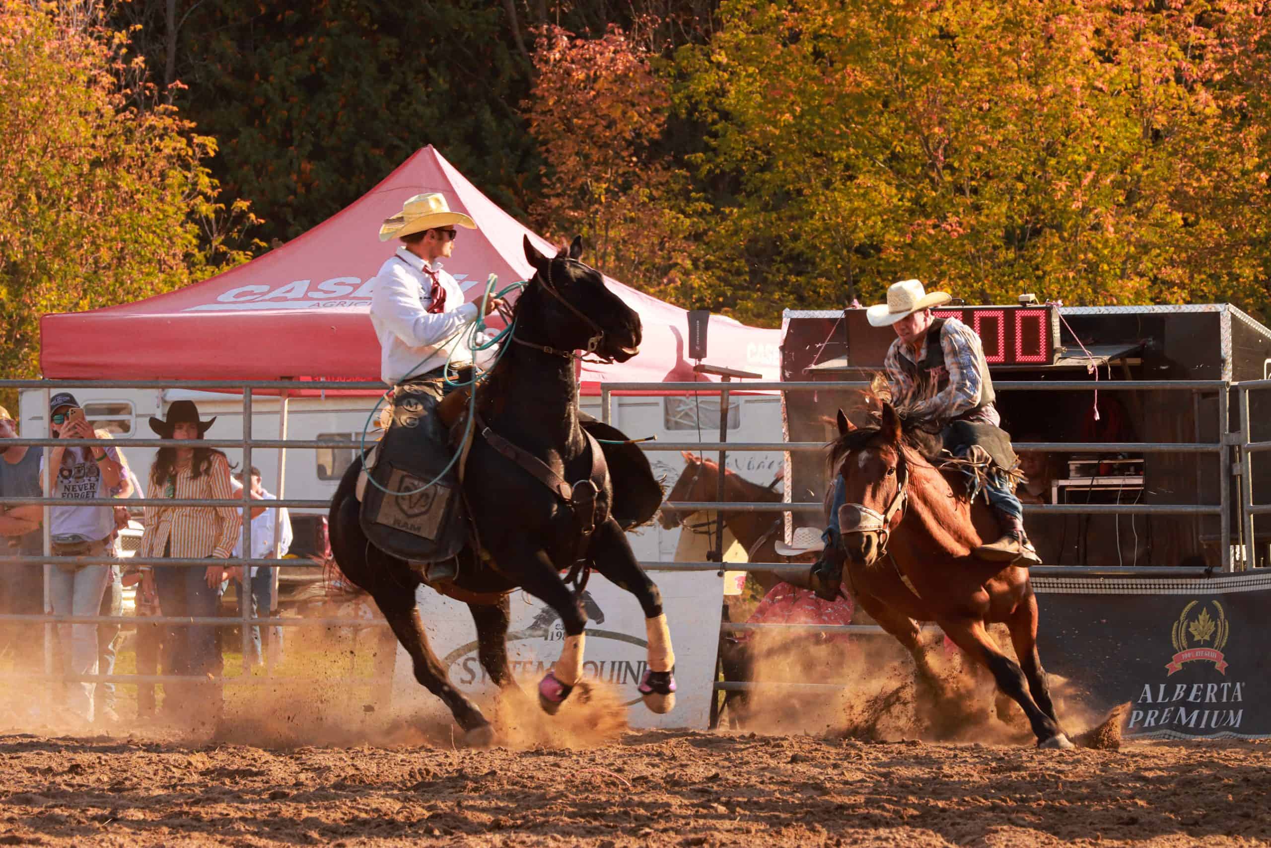 Ontario tourism festival to get $20,000 cash boost from the prvince