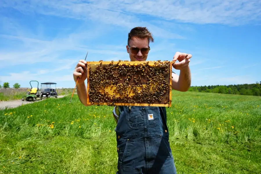 Beekeeper Dan with honey from hives at cemetaries around the GTA