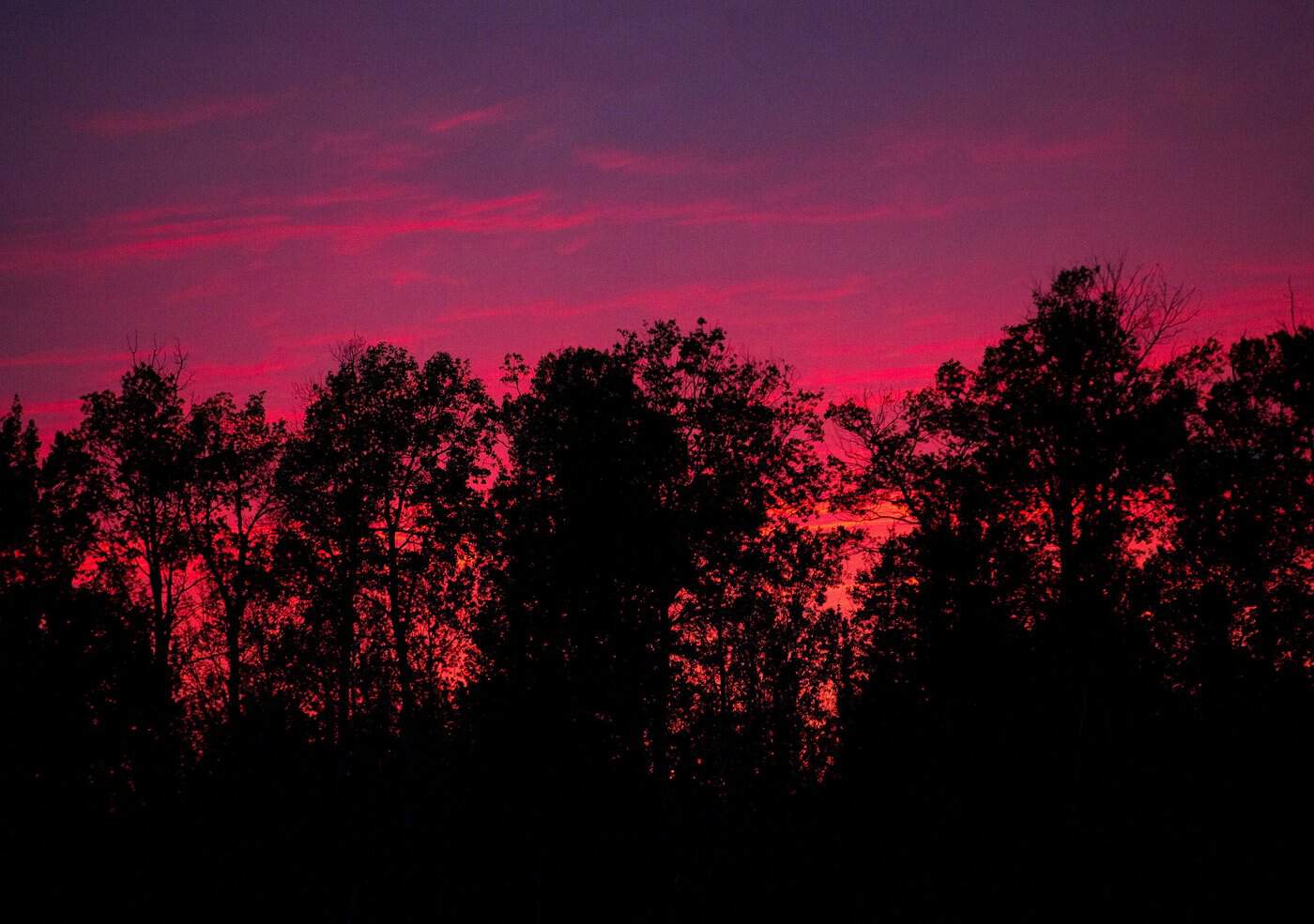 Northern Ontario First Nation evacuates as fire crews battle spreading wildfire