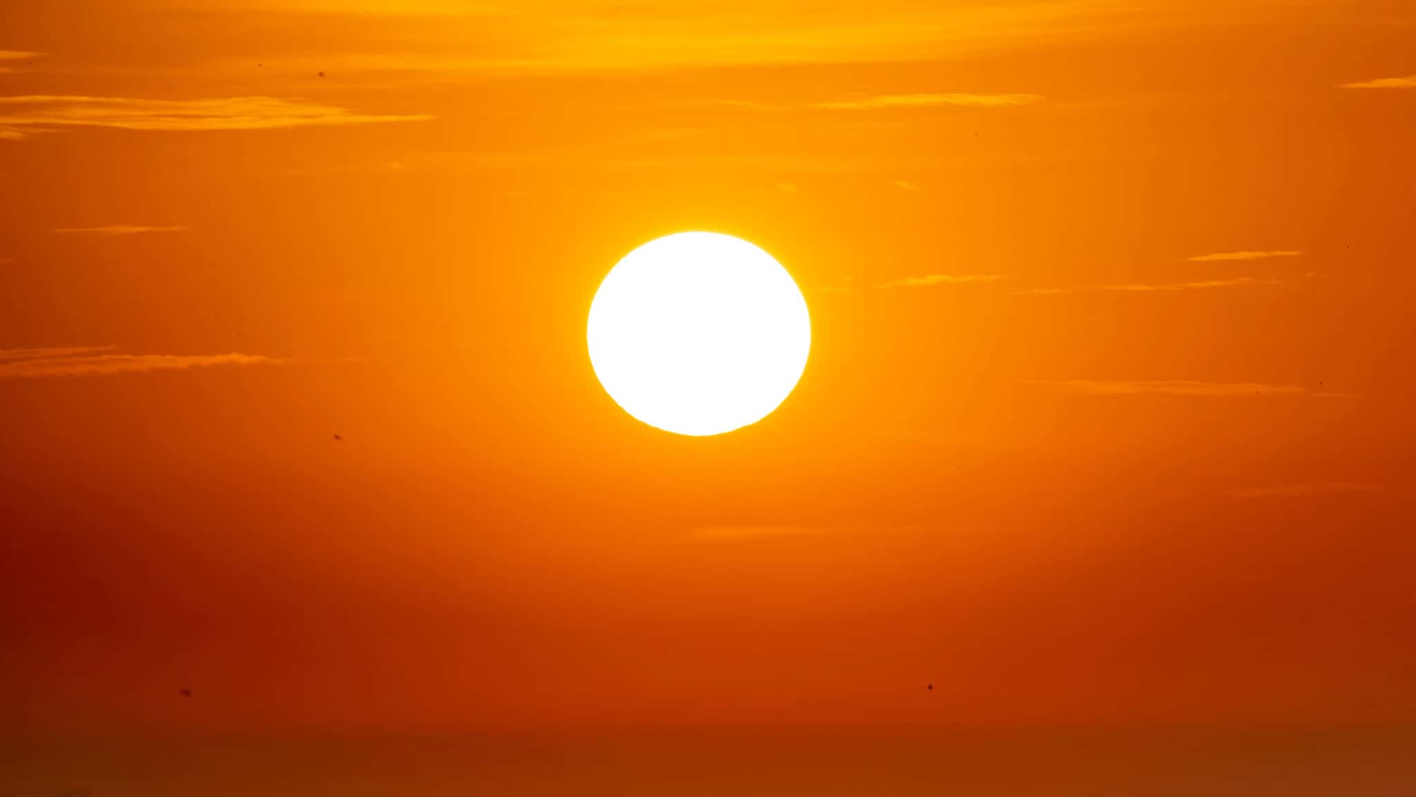heat warning ontario