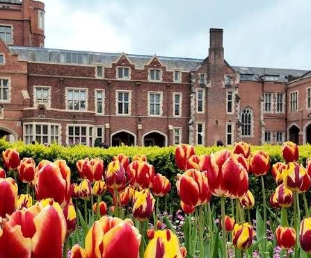 Queen's University tops in Canada, fourth in world in sustainability
