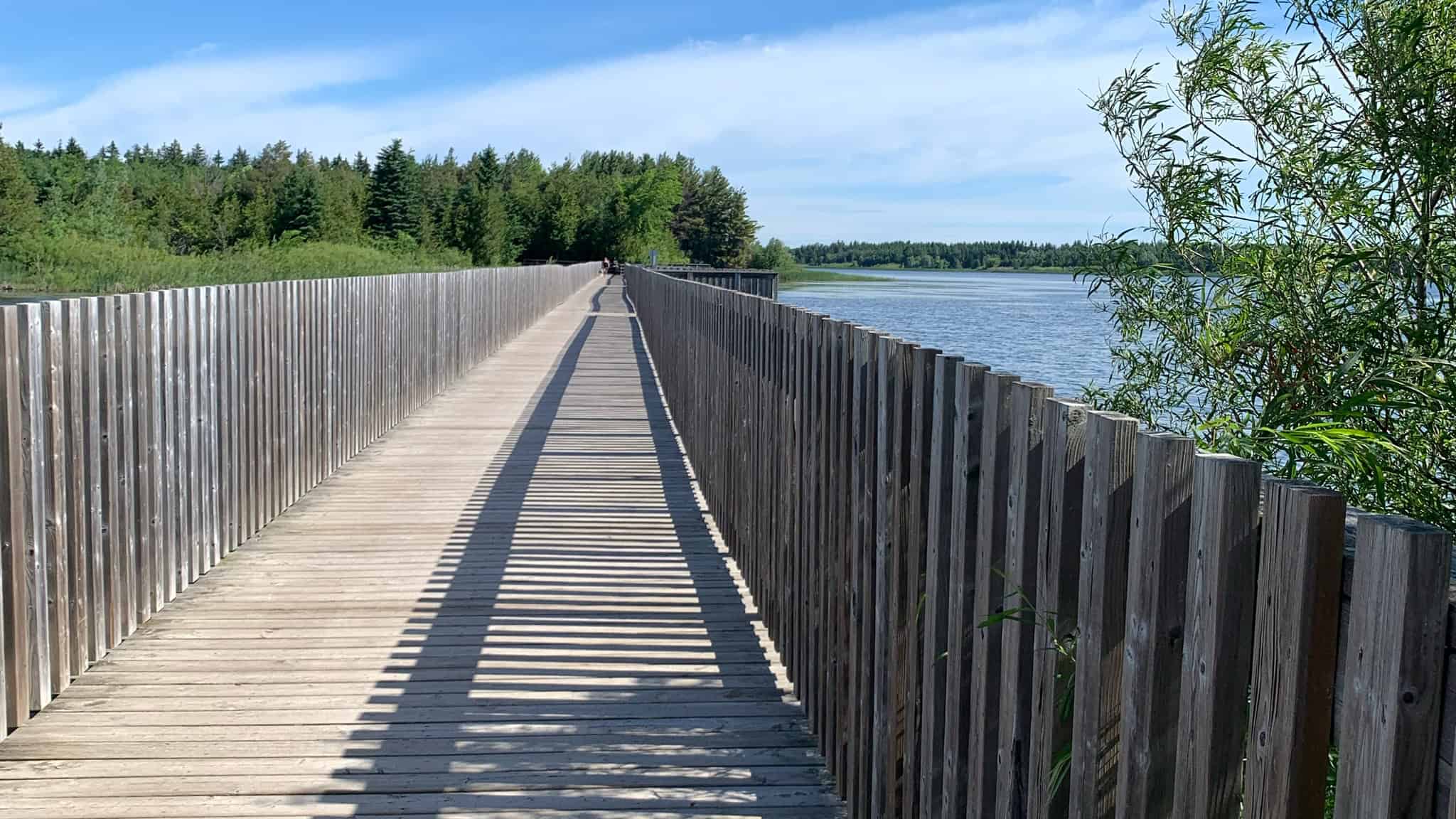 island park sexual assault