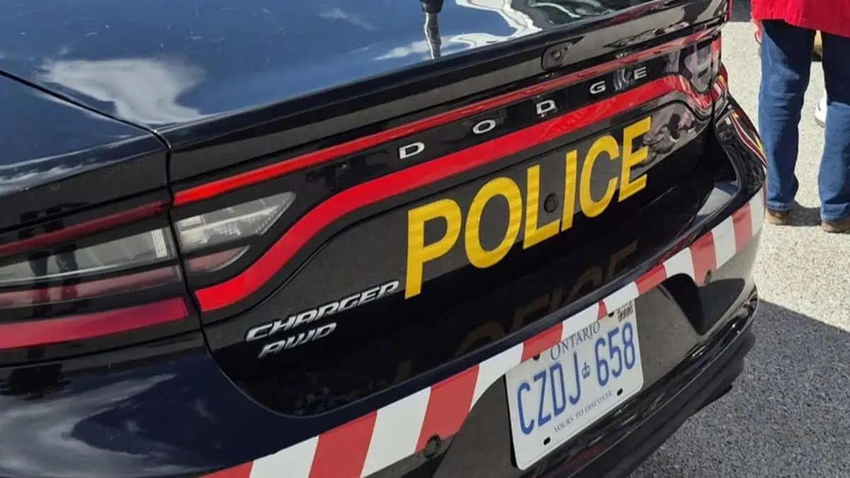 opp brampton gun drugs