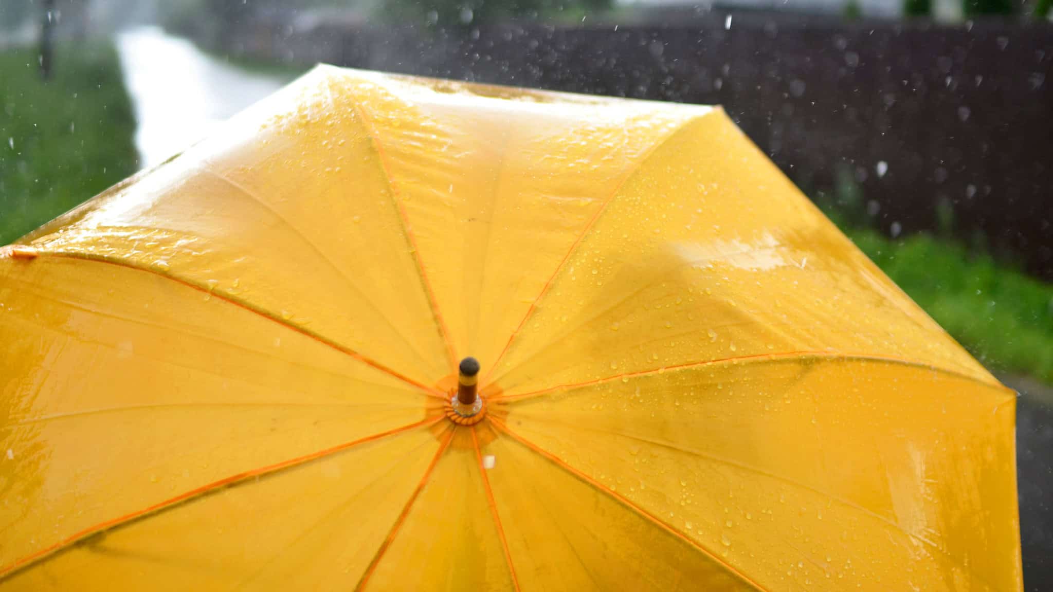 weekend weather ontario june 13