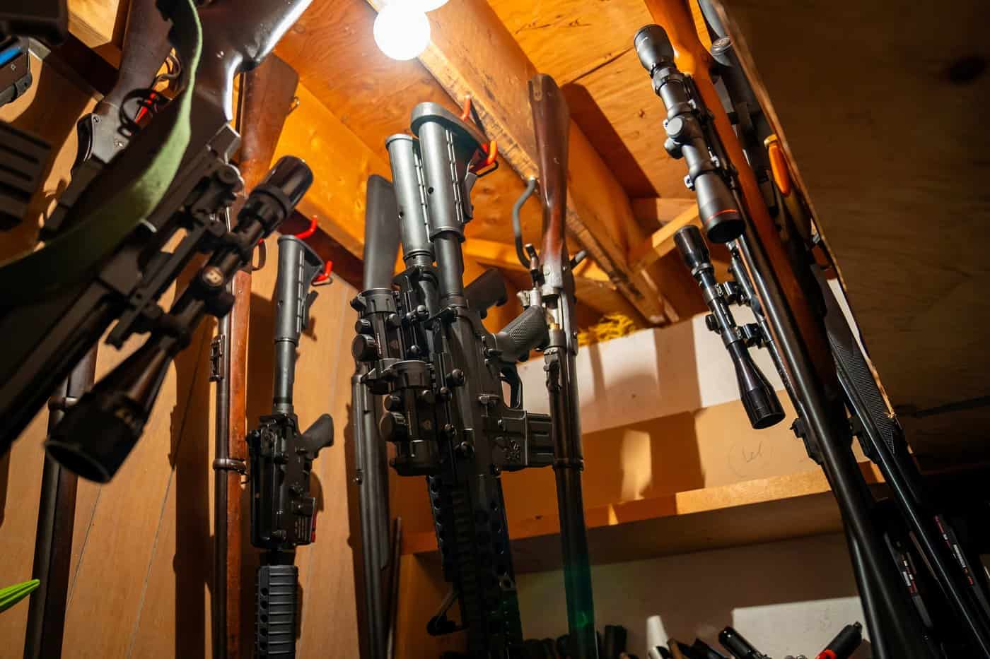 Former Canadian MP charged with gun offences, 439 firearms seized