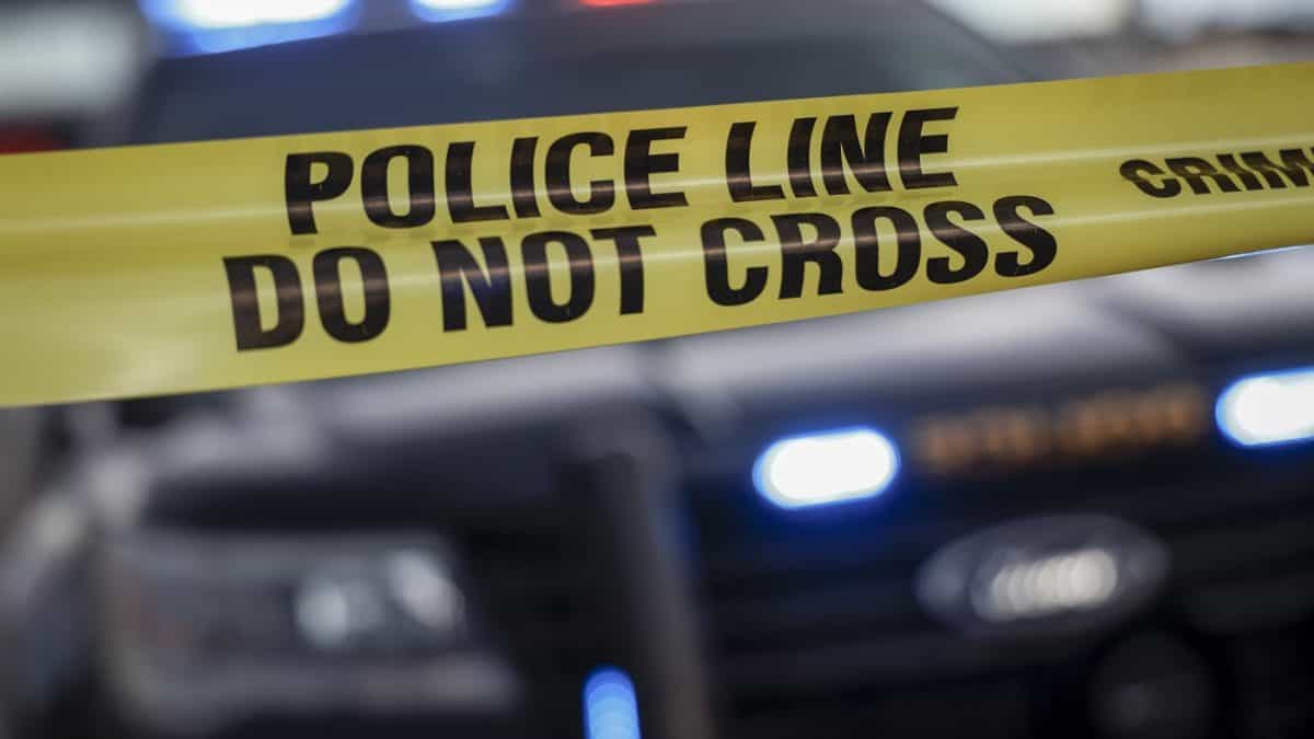 crime rate down canada statscan