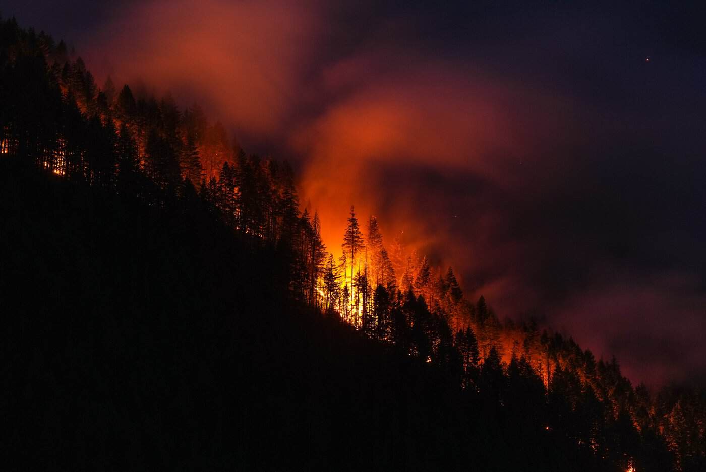 B.C. wildfires expected to pick up after weather-induced lull on the weekend