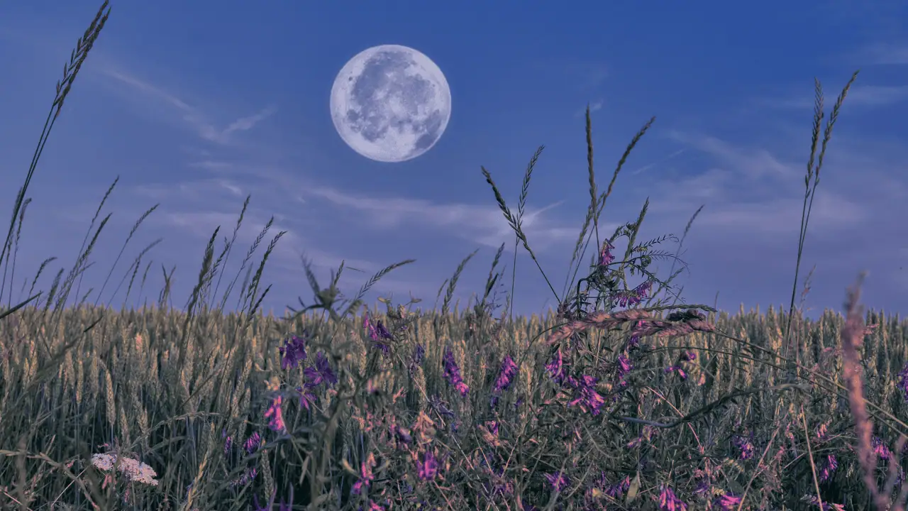 July's 'Buck Moon' returns to Ontario this month.