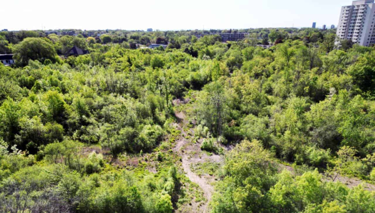 cooksville watershed kaneff habitat