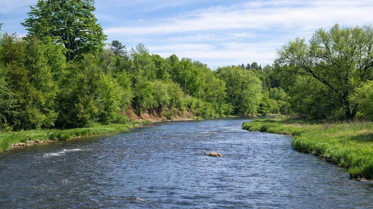 credit river churchville brampton rescue