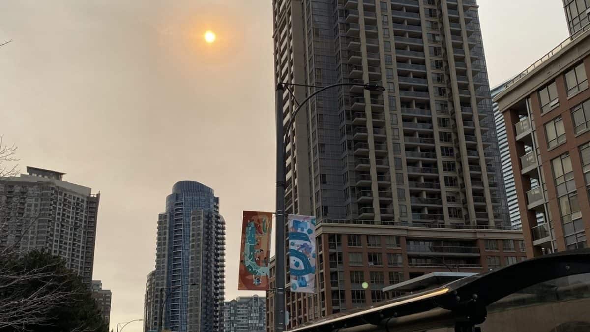 outdoor programs cancelled in mississauga due to poor air quality.
