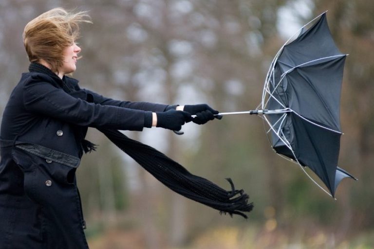 Strong winds took down trees and shut down roads in Clarington
