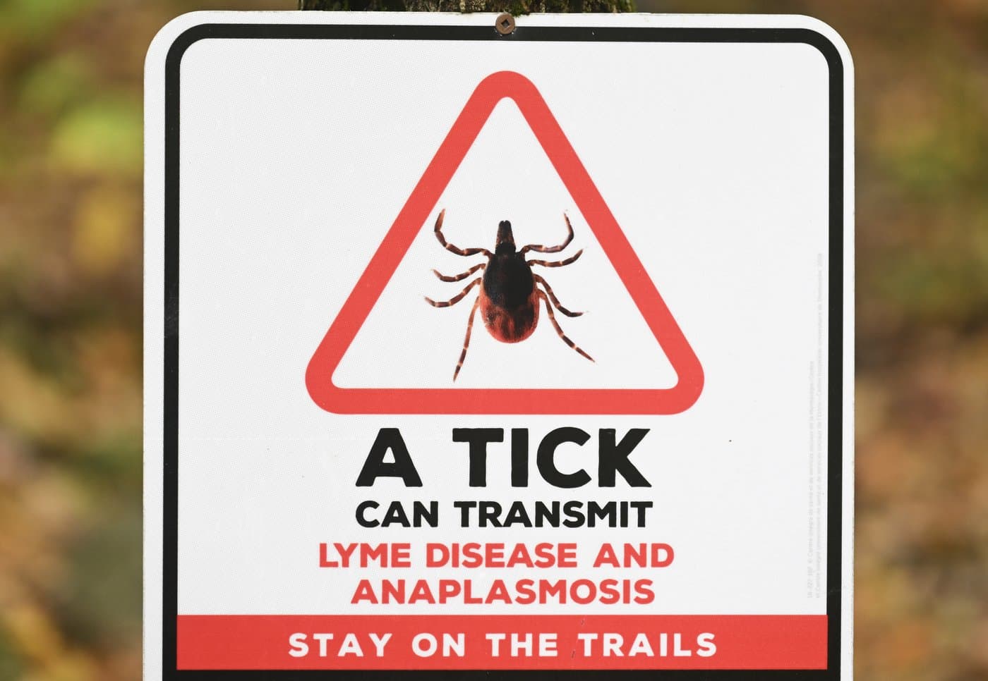 anaplasmosis tick illness canada