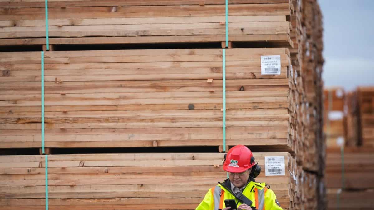 Ottawa lends lumber company $100M to cope with tariff impacts