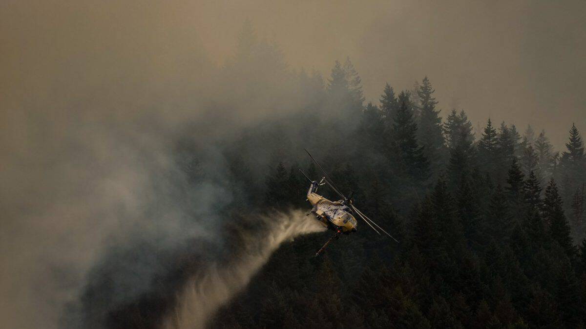 Wildfire activity jumps again overnight after lightning strikes across B.C.