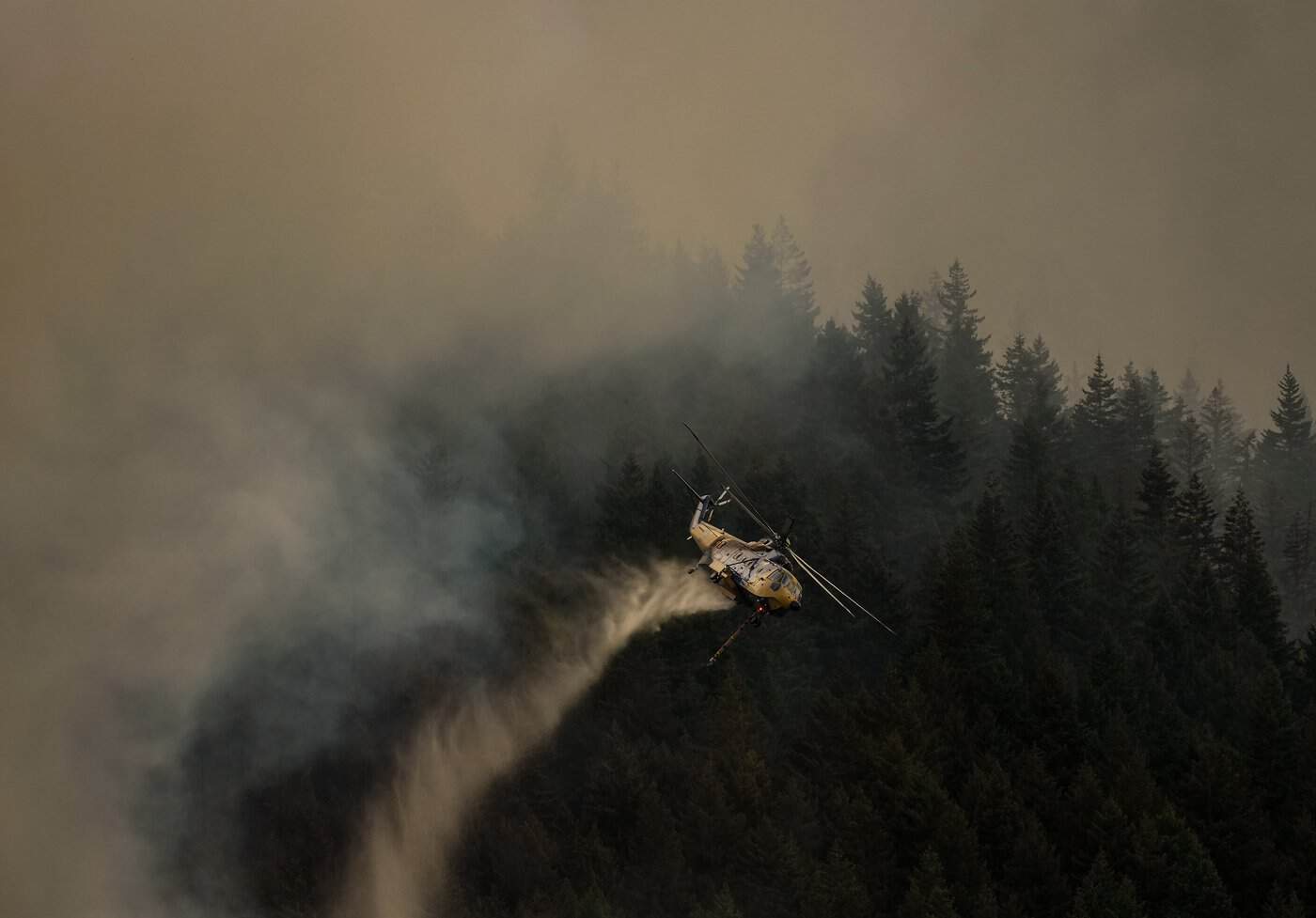 Wildfire activity jumps again overnight after lightning strikes across B.C.