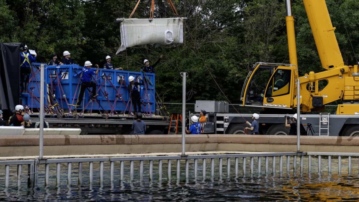 marineland belugas move to USA niagara falls canada ontario