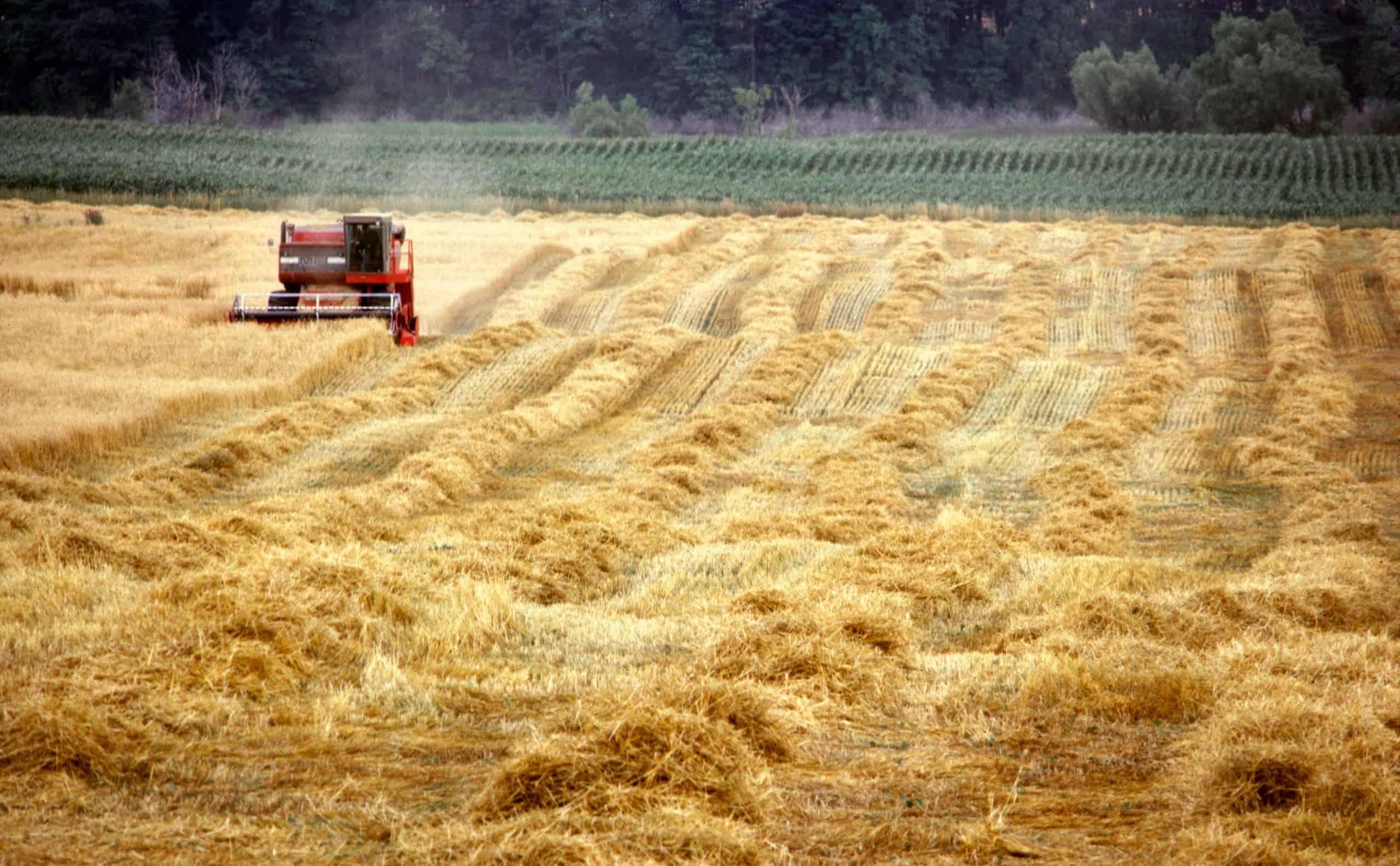 Feds announce $3 billion plan to support Canadian food industries