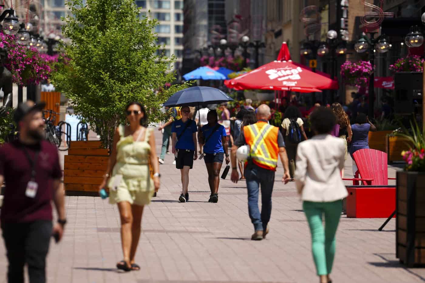 federal job applications canada